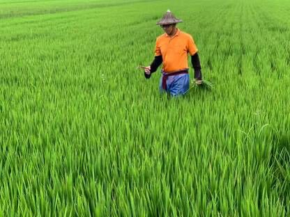 Bukid ng Chenjiazhuang 永續行動照片