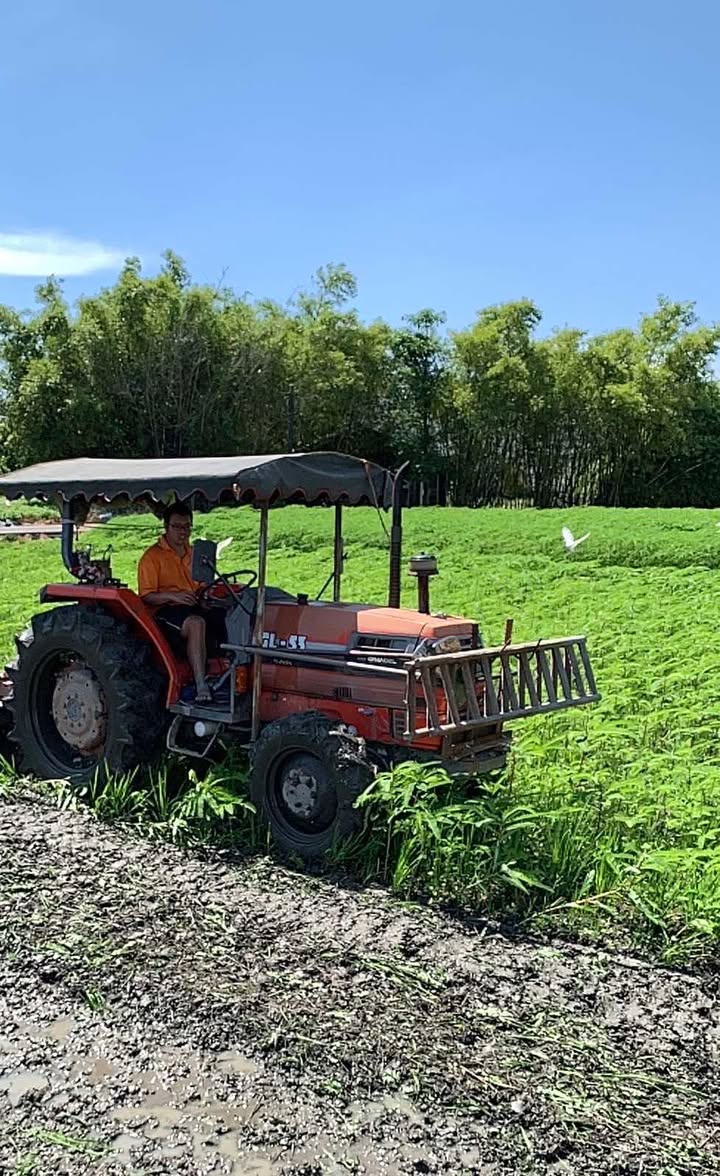 Bukid ng Chenjiazhuang 永續行動照片